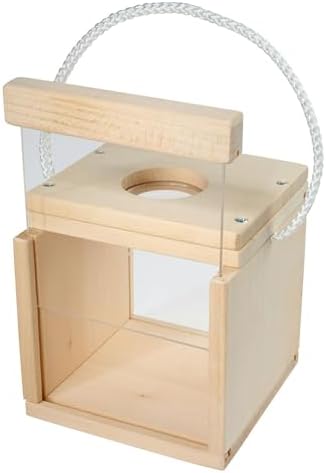 Eichhorn - Outdoor Insect Observation Box for Assembling and Painting, Includes Paint and Brush, 12 x 12 x 12 cm, Made of Basswood, from 6 Years - Image 5
