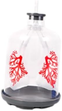 Lung Model Classroom Prop Breathing Simulator Physics Experiment Tool with Realistic Structure and Flexible Components Suitable for Student Science Ed, Clear - Image 7