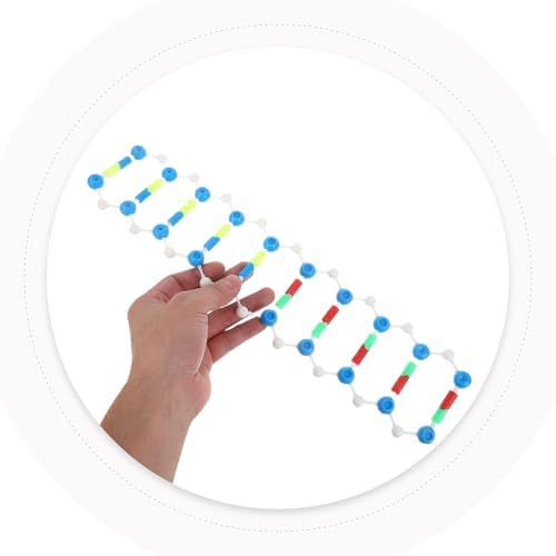 DNA Double Helix Structural Model Plastic Assembly Toy for Students - Image 6