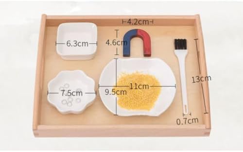 Montessori Magnet Separation Exploration Work Tray Set - Image 7