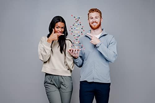 DNA Model Set - Image 2