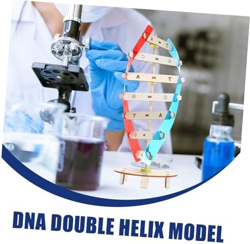 DNA Model Kit DIY Double Helix Educational Science Toy for Kids - Image 7