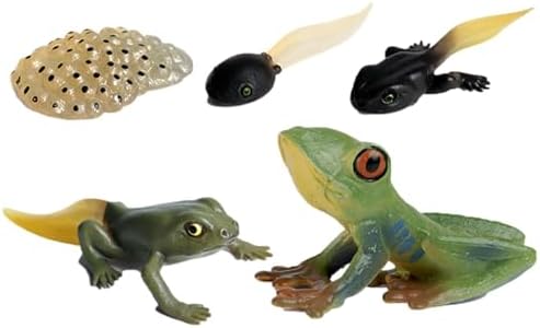 Life Cycleinsects Toys - 6Pcs Educational Figurine Set Ladyybuges - Image 7