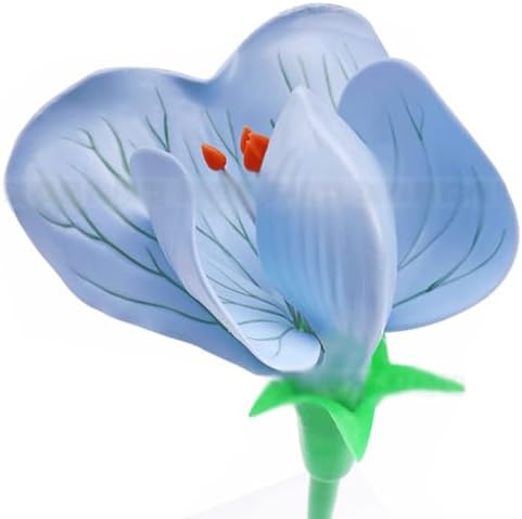 Plant Anatomical Model Pea Flower Model Plant Anatomy Biology Teaching Model for Biology Science and Educational - Image 5