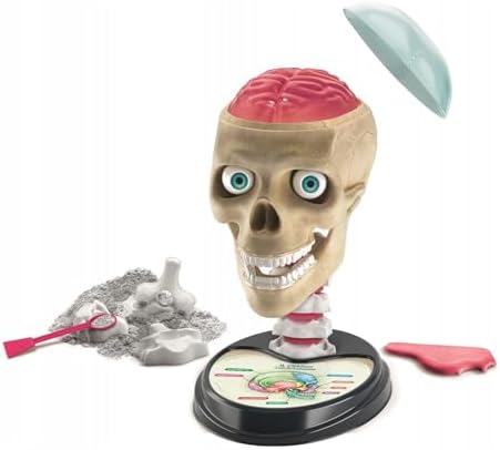 Clementoni 50697 Science Fun Crazy Anatomy Educational Kit for Children from 7 Years Old - Image 7