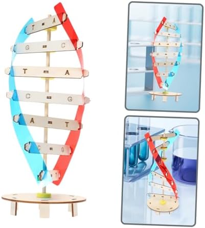DNA Modeling Kit Double Helix Science Toy for Kids Students - Image 7