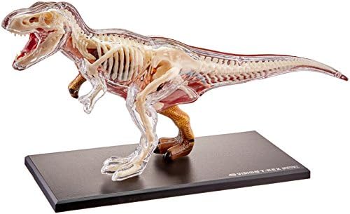 Famemaster 4D Vision T-Rex Anatomy Model - Image 3