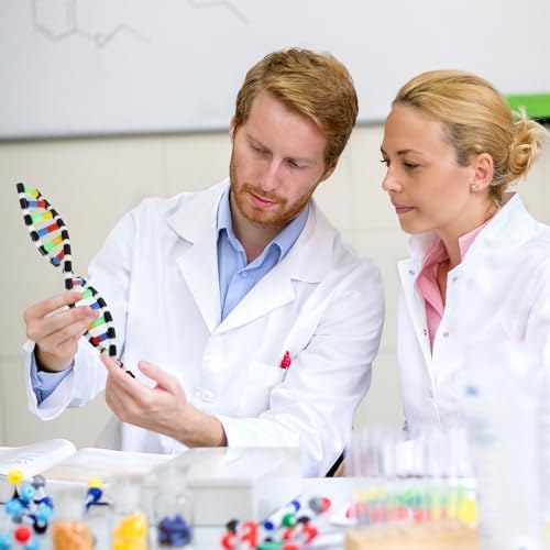 DNA Model Double Helix Structure Model DNA Display Component Biological Science Popularization Teaching for Science Teaching Display - Image 7