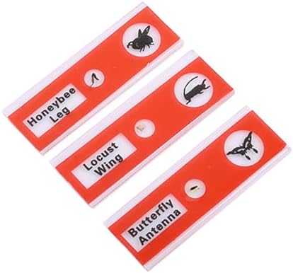 12PCS Prepared Microscope Slides, Plastic Colored Biological Sample Biology Slides Root Viewer Kit Microscope Accessories for Students Education (Mix Color) - Image 7