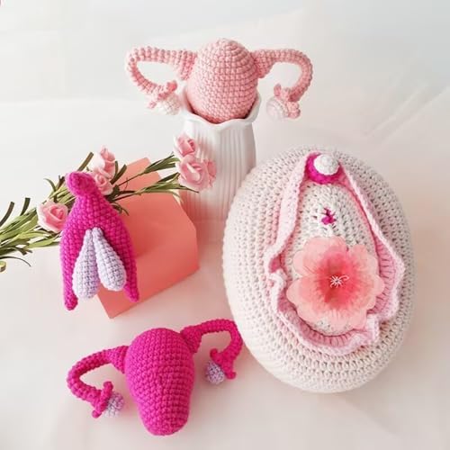 Female Anatomy Model - Knitted Uterus Teaching Aid for Physiology Classes, Postpartum Demonstration, Educational Props and Ornaments - Image 4
