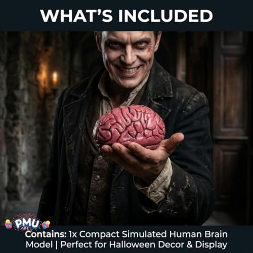 PMU Fake Brain, Brain Model Anatomy Halloween Decor - Image 7