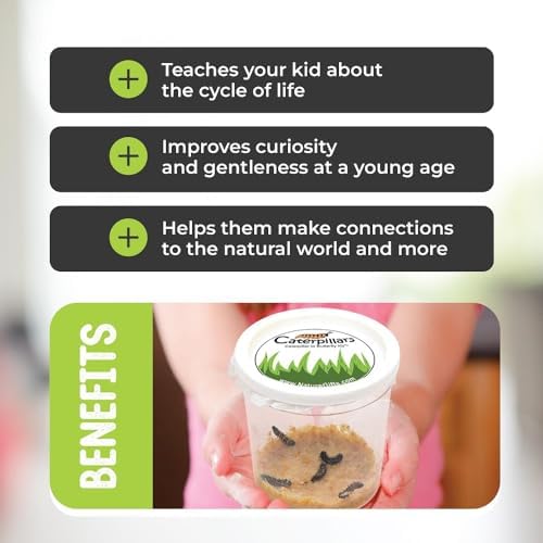 Complete Butterfly Kit with Live Caterpillars (10 Painted Lady) and Habitat - Image 7