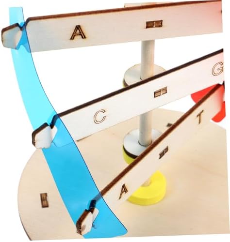 DIY DNA Double Helix Model Teaching Tool for Kids and Students - Image 7