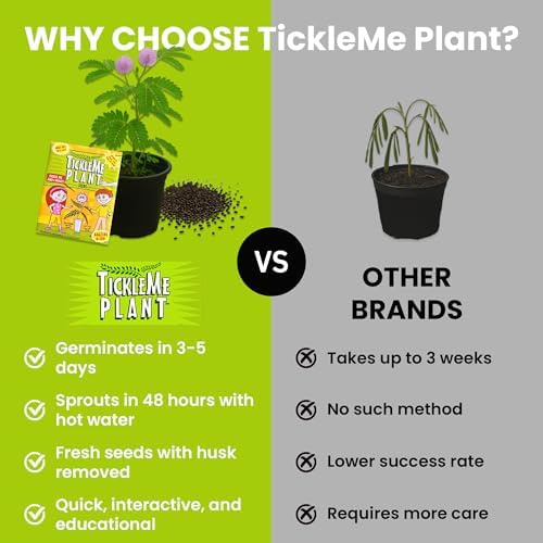TickleMe Plant Classroom or Homeschool Science Fun Planting Party Kit – for 30 Students – Grow a Sensitive Plant that Reacts to Touch – Includes Activity Book and Seeds for Kids to Plant - Image 6