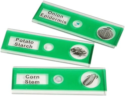 Prepared Microscope Slides for Kids – 12 Plastic Vegetable Specimens with Labels & Images – Safe, Durable Biology Science Kit for Students Ages 8+ - Image 6