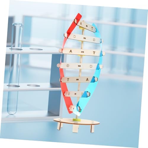 DNA Double Helix Model DIY Science Teaching Prop for Kids Students - Image 7