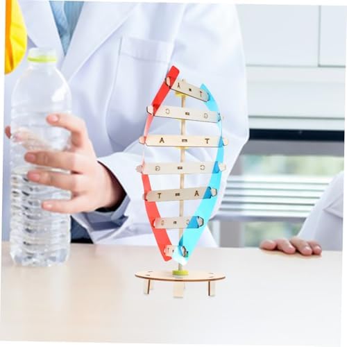 DIY DNA Double Helix Model Science Teaching Instrument for Kids - Image 7