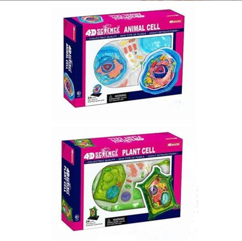 Biology Animal and Plant Cell Models, Assembly and Medical Lessons Cell Model Teaching(Plant Cells) - Image 7
