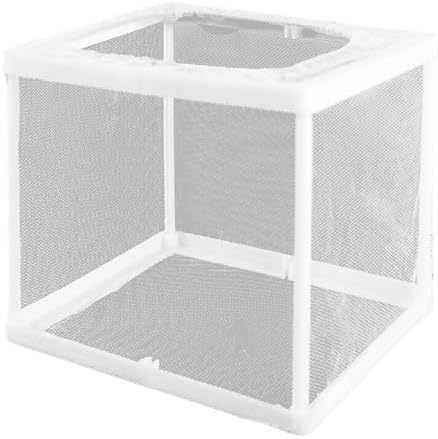 6.3x5.9x5.5 Inch Praying Mantis Egg Case Habitat, Incubator for Tarantulas, Spiders & Small Animals - Clear - Image 6