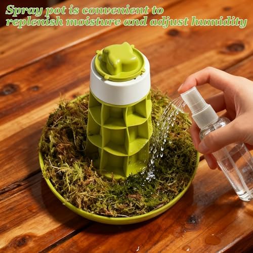 Snail Terrarium Kit Insect Enclosure Bug Terrarium Observation Container Praying Mantis Habitat Breeding Box Micro Habitat Starter Kit for Beetles Spider Small Reptile - Image 7
