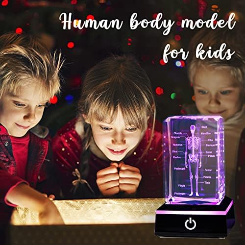 Movdyka 3D Human Skeleton Anatomy Model Doctor Psychology Graduation Gifts - Image 6