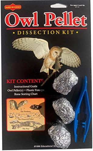 Owl Pellet Kit, 3 Pellet, Bone Sorting Chart - Image 3