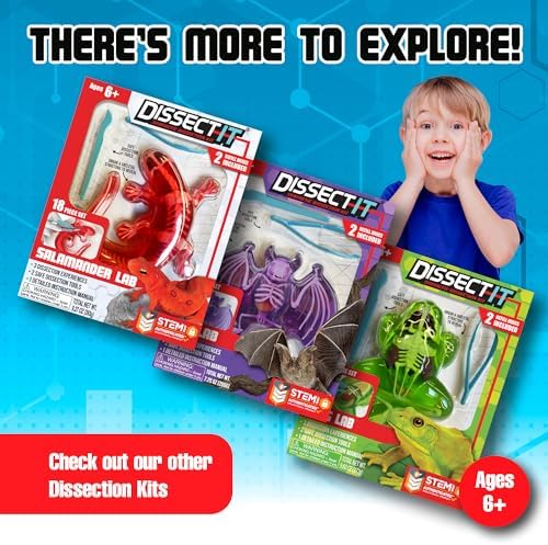 Top Secret Toys Dissect-It Mini Labs Piranha Lab Dissection Kit for Kids, Realistic Synthetic Kids Science Kit - On, Biology and Animal Anatomy, STEM Toy, Ages 6+ - Image 6