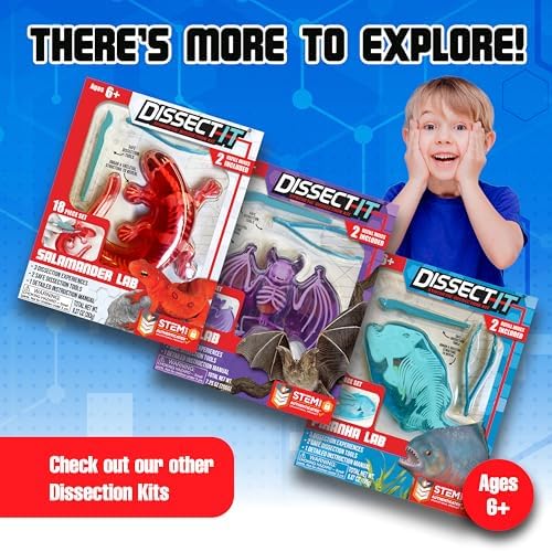 Dissect-It, Shark Dissection Kit, STEM Toys for Kids, Ages 6+ - Image 6
