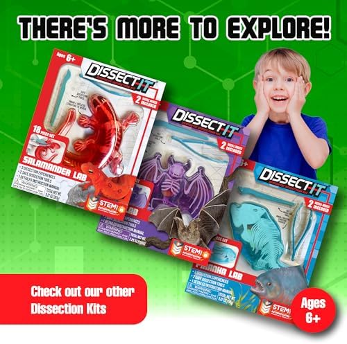Top Secret Toys Dissect-It Mini Labs Frog Dissection Kit for Kids, Realistic Synthetic Kids Science Kit - On, Biology and Animal Anatomy, STEM Toy, Ages 6+ - Image 6