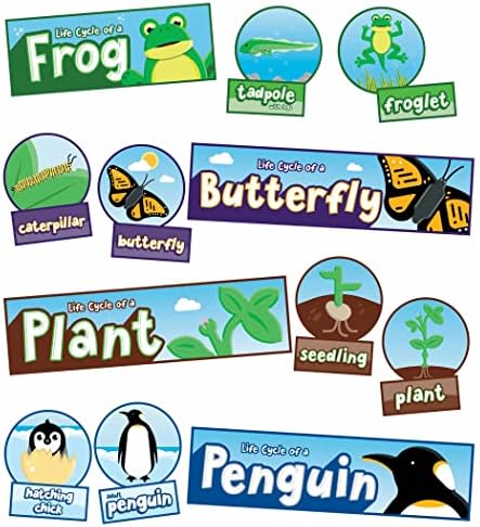 Carson Dellosa 55pc Bundle Life Cycles Biology Bulletin Board Set by CarsonDellosaEducation