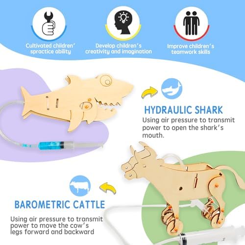 STEM Building Kit, 6-in-1 DIY Animal Construction Set with Hydraulic Shark, Clock Owl, Moving Cattle, Wooden Educational Science Toy for Ages 6+ (2) - Image 3