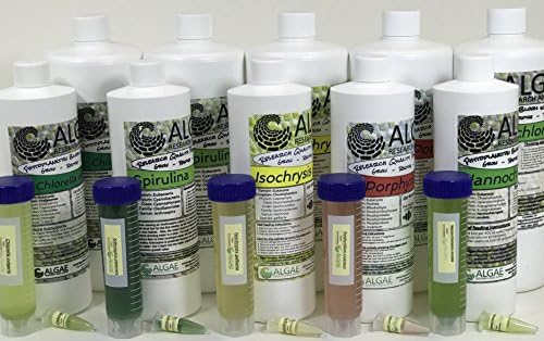 Algae Research Supply Algae Culture Nannochloropsis Occulata, Perfect for School Science Fairs/Projects, Experiments & Classrooms (500mL) - Image 2