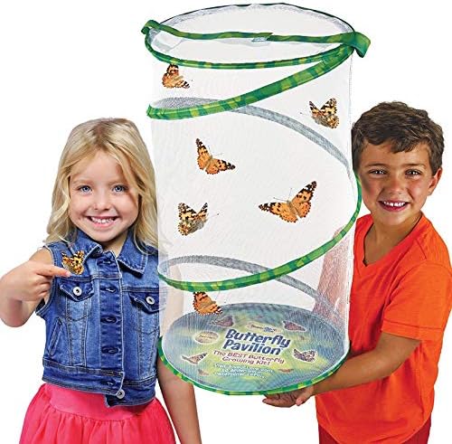 Insect Lore Butterfly Pavilion Habitat - One 2-Ft Tall Clear Mesh - Pops Up Folds Flat, Zipper Top - Great for All Insects and Plants