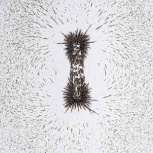 Iron Filings for Magnet Experiments – Magnetic Field Science Learning for Kids, STEM Classroom Supply, Hands-On Physics Activities - Image 4