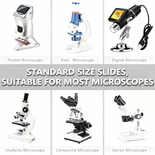 Microscope Slides with Specimens - 60 Prepared Slides for Kids, Teens & Adults, Biology & Microbiology Learning Kit (10 Microscope Slides with Specimens) - Image 7