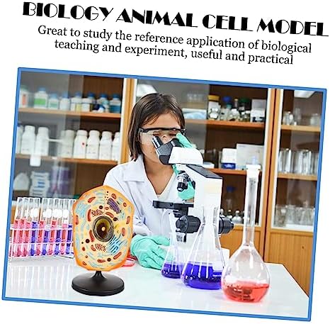 Animal Cell Teaching Kit for Students Educational Cell Anatomy Display Detachable Organelles for Biology Classroom Demonstrations and Learning Activities - Image 7