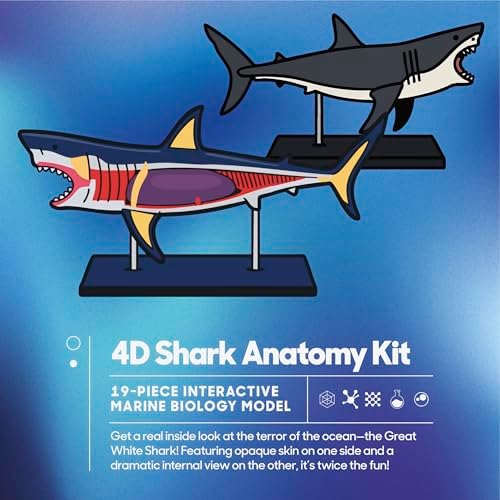 Discovery™ 4D Shark Anatomy Kit| Interactive Model Building Set with Display Stand| STEM Biology Science Kit| Fun Activity Puzzle| Ocean Sea Creature Figurine| Educational Learning Toy| Ages 6+ - Image 7