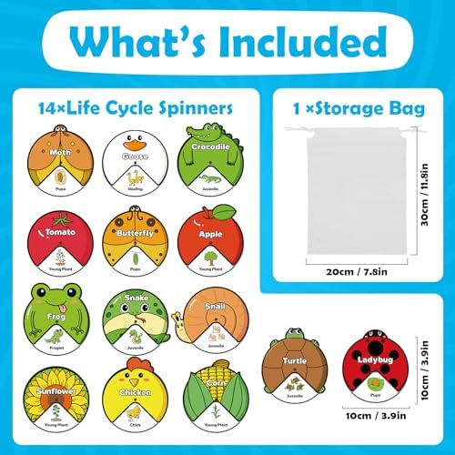 Kasfalci Life Cycle Toys for Kids,Back to School Supplies,Animal Plant Insect Bug Ladybug Butterfly Tadpole to Frog Kit,Montessori Learning & Education Toys,Preschool Science Learning Activities - Image 6