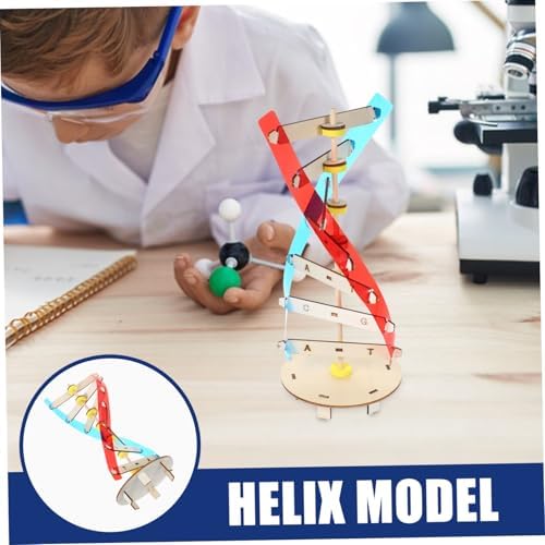 Educational DNA Double Helix Model DIY Science Kit for Kids - Image 7