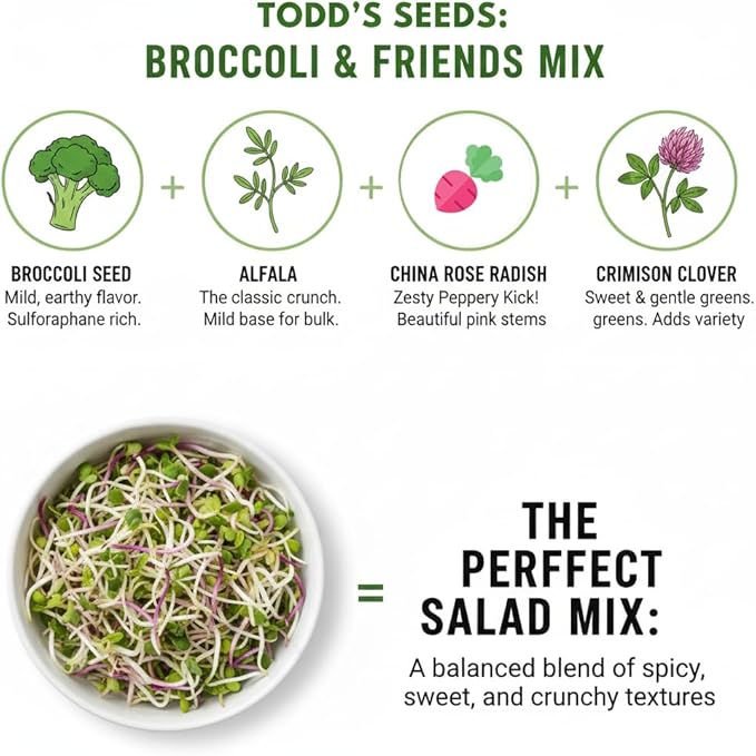 Todd's Seeds Broccoli and Friends Sprouting Seed Mix: Broccoli, Crimson Clover, Red Radish, Alfalfa, Non-GMO, Chemical Free, High Germination (1/2 Pound)