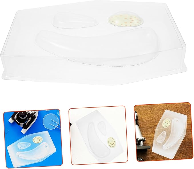 Transparent Plant Cell Model Kit for Stem Classroom Learning Detailed Biology Educational Tool for Teachers Interactive Science Model for Middle and High School Students
