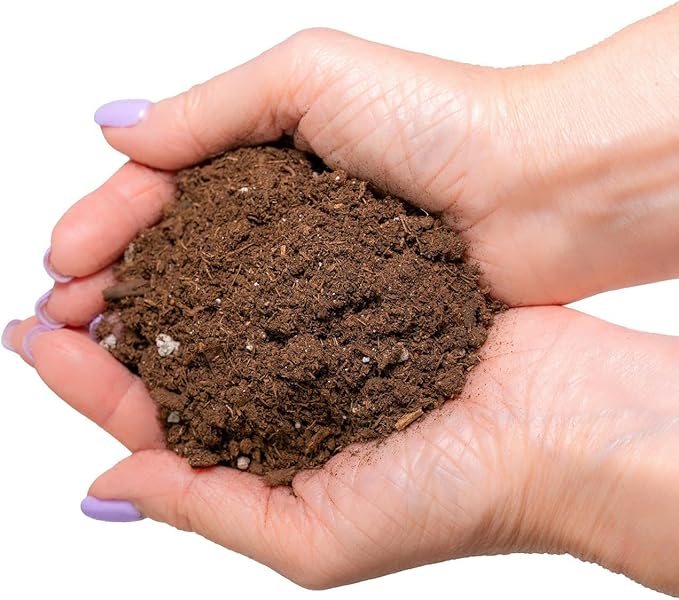 GARDENERA Money Tree Potting Soil - 10 Quart - Soil Mix for Planting or Repotting Guiana Chestnut, Blended Mix to Properly Grow Money Tree Plants (2 Bags of 5 Quart)