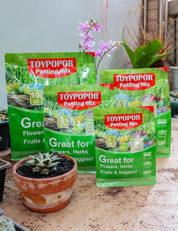 TOYPOPOR Horticultural Charcoal for Indoor Plants (6 Quarts) Hardwood Potting Soil Amendment Helps Improve Drainage for Orchids, Succulent, Cactus, Terrariums, and Gardening