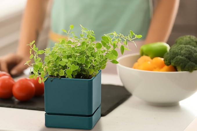 D'vine Dev 4 Inch Herb Planter Pot, Plastic Planter with Drainage Holes and Saucer, Modern Decorative Gardening Pot for Indoor Plants, Flowers, Herbs, Succulents, Green, Set of 2, 76-Y-C-2
