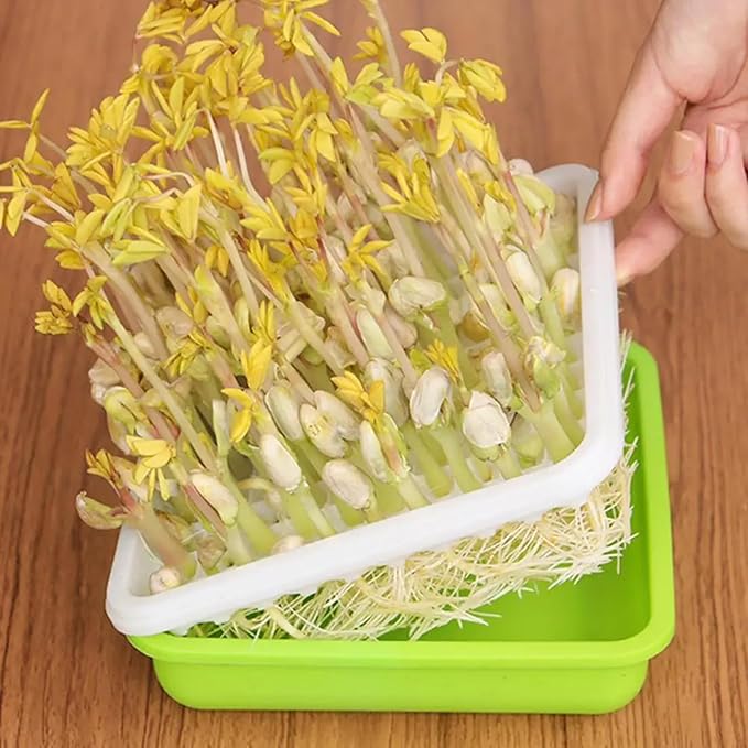 10x12 Microgreens Growing Trays, 100 Holes Sprouts Growing Kit with Shade Cover Planting Plate Mesh Plate Water Tray Reusable Seed Starter for Peanut