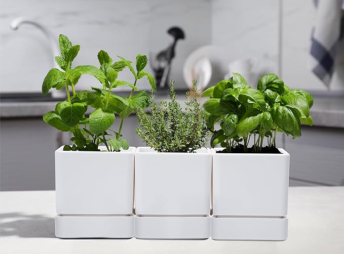 D'vine Dev 4 Inch Herb Planter Pot, Plastic Planter with Drainage Holes and Saucer, Modern Decorative Gardening Pot for Indoor Plants, Flowers, Herbs, Succulents, White, Set of 6, 76-Y-A6-1