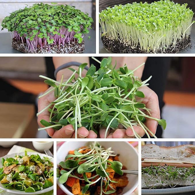 Handy Pantry Micro-Mats Hydroponic Grow Pads - for Organic Production - 10 Pack - Plant & Seed Germination: Wheatgrass, Microgreens, More - for 20" x 10" Greenhouse Trays