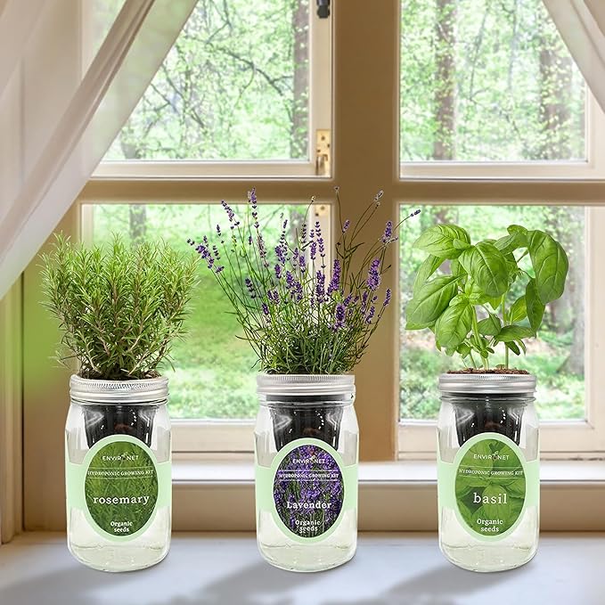 Hydroponic Herb Growing Kit Set, Self-Watering Mason Jar Herb Garden Starter Kit Indoor, New Christmas Gift for Mom (Lavender, Rosemary & Basil)