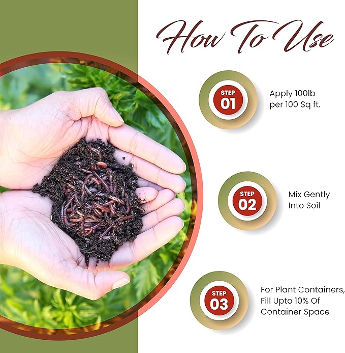 Coco Coir Brick (650gms) + Worm Bliss (1 Qt) + Char Bliss (1 Qt) - Organic Coco Coir for Plants - Worm Castings & Biochar for Plants - Soil Amendment & Organic Fertilizer Bundle - Potting Soil Mix