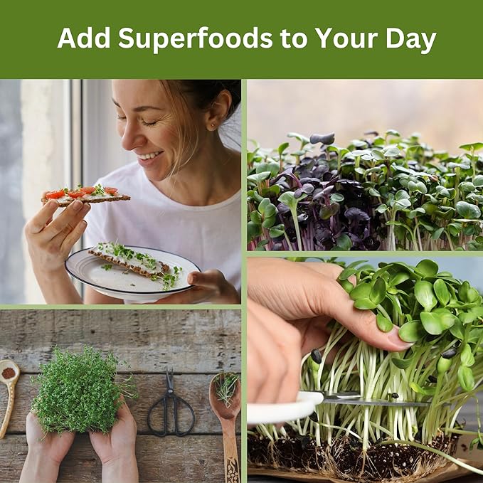 Home Microgreens Kit Refill - Hydroponic Growing Medium - Premeasured for 4 plantings; Includes Non-GMO Organic Broccoli and Radish Seeds for 4 Harvests